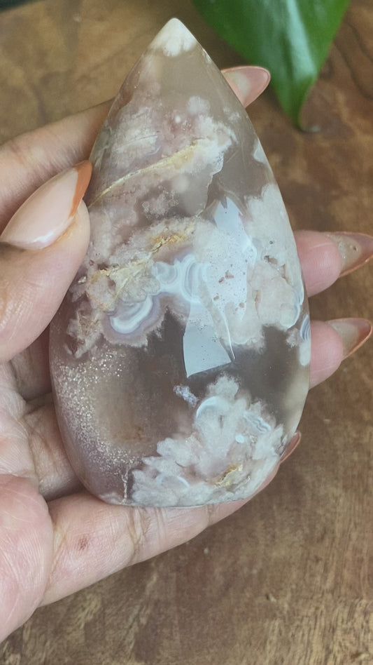 Gorgeous Flower Agate Tear Freeform